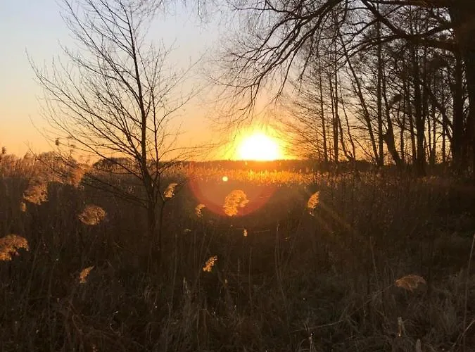 Zbychowka Holiday home *